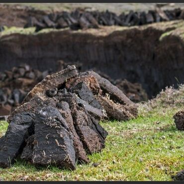 Kouř, rašelina, moře a slzy